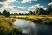 Nature landscape grassland outdoors