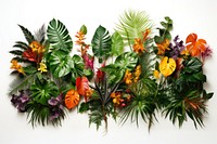 Plant flower herbs leaf. AI generated Image by rawpixel.