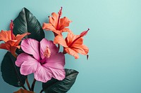 Flower plant hibiscus petal. AI generated Image by rawpixel.
