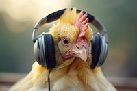 Headphones chicken headset animal. AI generated Image by rawpixel.
