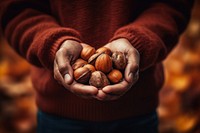 Nut holding autumn plant. AI generated Image by rawpixel.