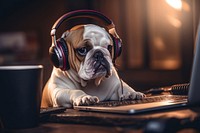 Headphones dog computer bulldog. AI generated Image by rawpixel.
