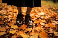 Autumn leaf shoe footwear. 