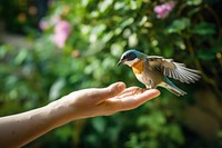 Bird hand holding animal. 