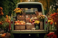 Outdoors vehicle basket autumn. 