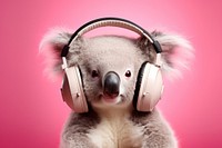 Headphones headset mammal koala. 