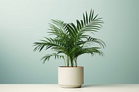 Plant leaf vase houseplant. 