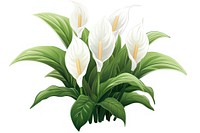 Flower plant green white. AI generated Image by rawpixel.