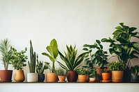 Plant windowsill nature leaf. AI generated Image by rawpixel.