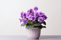 Flower violet plant inflorescence. AI generated Image by rawpixel.