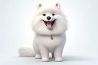 Samoyed mammal animal white. 