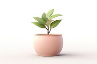 Plant leaf pot white background. AI generated Image by rawpixel.