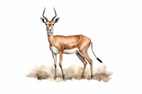 Springbok wildlife animal mammal. AI generated Image by rawpixel.