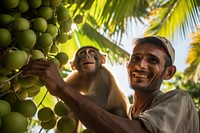 Coconut nature monkey plant. AI generated Image by rawpixel.