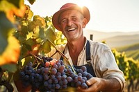 Farm harvesting landscape vineyard. 