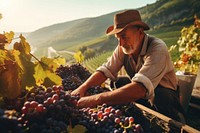 Farm harvesting landscape outdoors. 