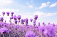 Lavender sky landscape outdoors. AI generated Image by rawpixel.