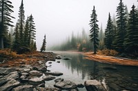 Nature wilderness landscape outdoors. 