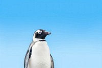 Penguin animal bird sky. AI generated Image by rawpixel.