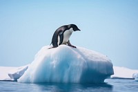 Penguin ice outdoors iceberg. AI generated Image by rawpixel.