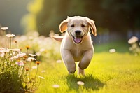 Animal puppy mammal plant. AI generated Image by rawpixel.