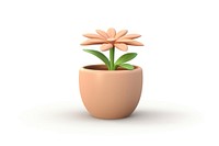 Flower plant vase pot. 