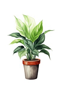 Plant houseplant leaf white background. AI generated Image by rawpixel.