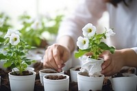 Plant gardening planting flower. 