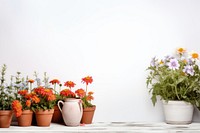 Flower windowsill gardening outdoors. 