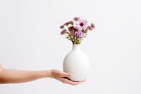 Flower vase holding plant. 