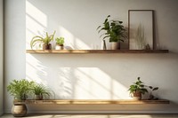 Shelf plant windowsill furniture. 