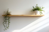 Shelf plant architecture windowsill. 