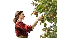 Outdoors plant apple fruit. AI generated Image by rawpixel.