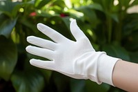 Glove plant hand protection. 