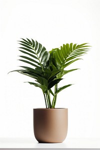 Plant leaf vase white background. AI generated Image by rawpixel.