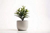 Plant vase leaf pot. 