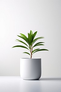 Plant leaf vase potted plant. 