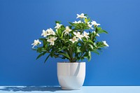 Plant flower leaf vase. AI generated Image by rawpixel.