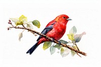 Bird animal wildlife perching. AI generated Image by rawpixel.