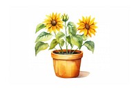 Sunflower plant pot white background. AI generated Image by rawpixel.