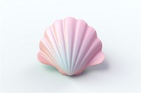 Seashell clam white background invertebrate. 