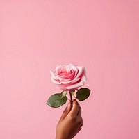 Love rose holding flower. AI generated Image by rawpixel.