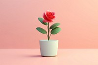 Plant rose flower vase. 