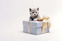 Box mammal animal kitten. AI generated Image by rawpixel.