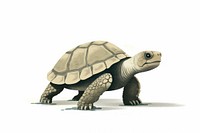 Animal reptile cartoon turtle. AI generated Image by rawpixel.