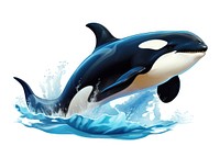 Whale animal mammal white background. AI generated Image by rawpixel.