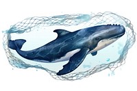 Whale fish swimming dolphin. AI generated Image by rawpixel.