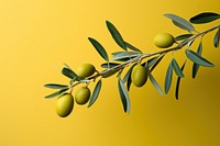 Branch olive fruit plant. AI generated Image by rawpixel.