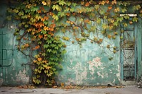 Building wall ivy architecture. 