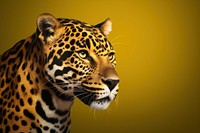 Wildlife portrait leopard animal. 